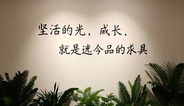 短视频制作中品牌文案创作的选择依据与应用建议