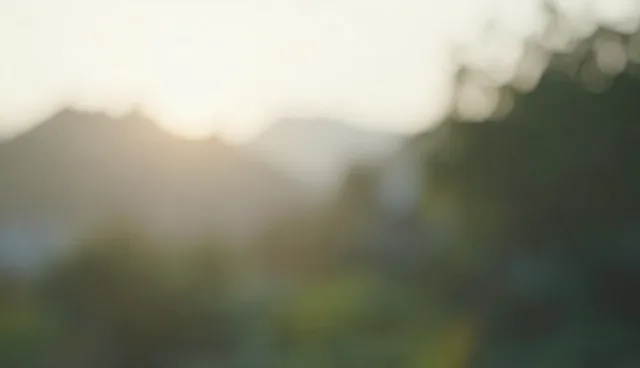 影视策划中定制化方案的传播效果分析